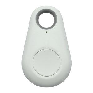 Pet Smart GPS Tracker