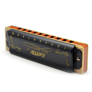 Gorgeous Blues Harmonica