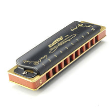Load image into Gallery viewer, Gorgeous Blues Harmonica