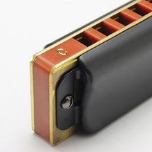 Load image into Gallery viewer, Gorgeous Blues Harmonica