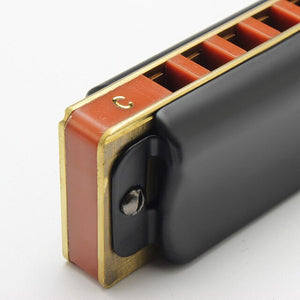 Gorgeous Blues Harmonica