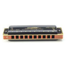 Load image into Gallery viewer, Gorgeous Blues Harmonica