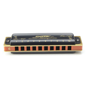 Gorgeous Blues Harmonica