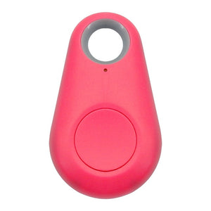 Pet Smart GPS Tracker
